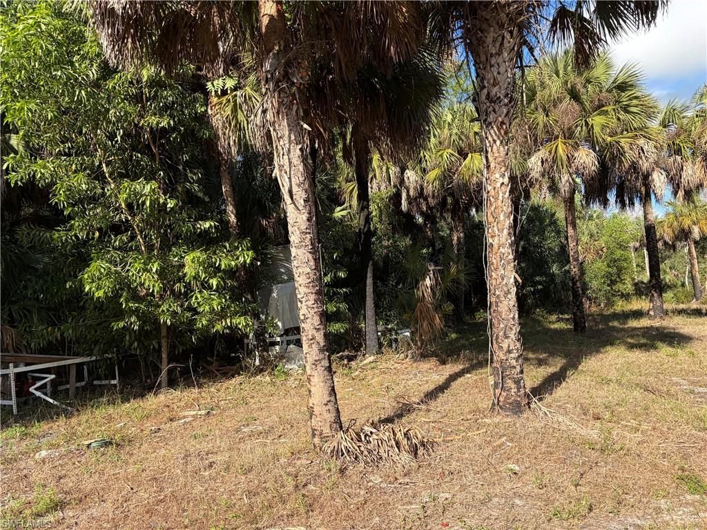 2185 Markley Ave, Naples, FL 34117 Photo