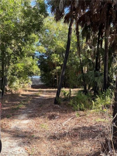 2185 Markley Ave, Naples, FL 34117 Photo
