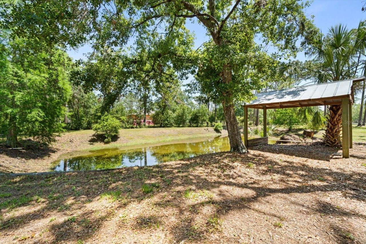 13719 Seminole Trail, Wimauma, FL 33598 Photo