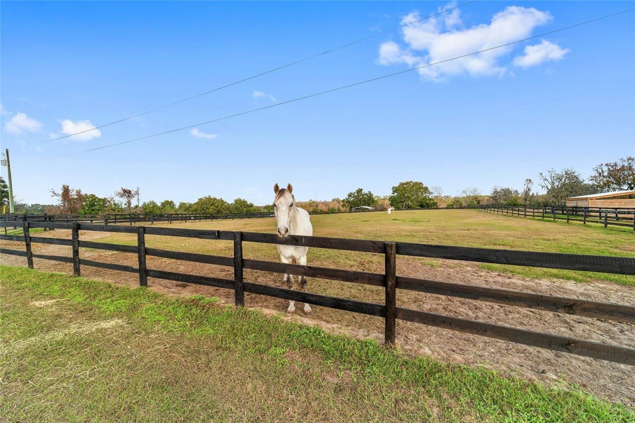 5575 NW 100th Street, Ocala, FL 34482 Photo