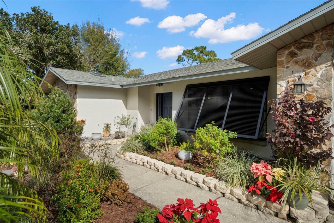 2513 Jennifer Terrace, Palm Harbor, FL 34685 Main Photo