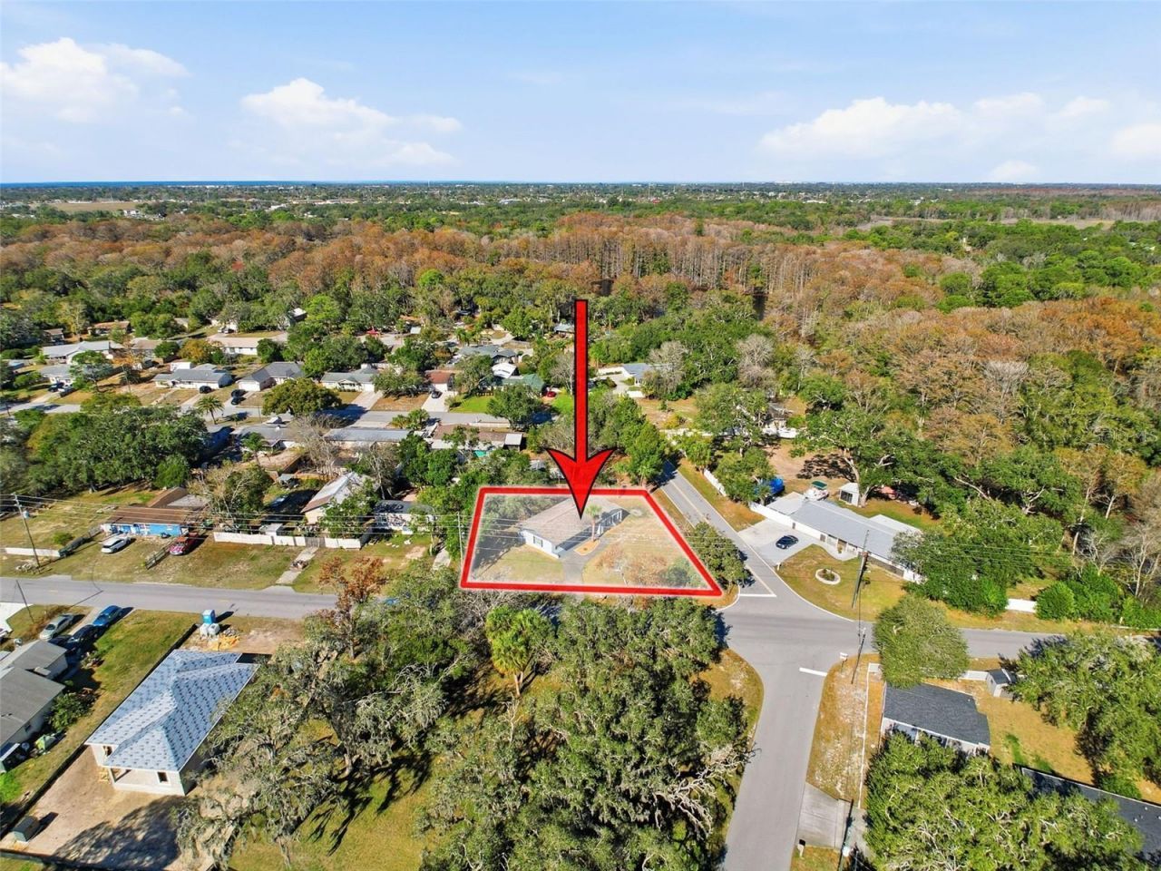 9161 Royal Palm Avenue, New Port Richey, FL 34654 Photo
