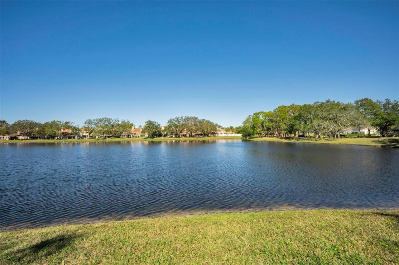 3061 Overlook Place, Clearwater, FL 33760 Photo