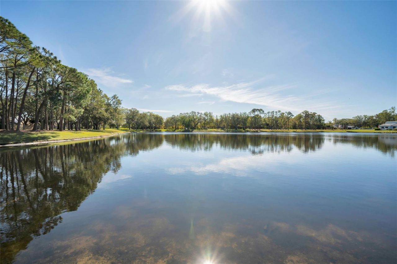 3061 Overlook Place, Clearwater, FL 33760 Photo