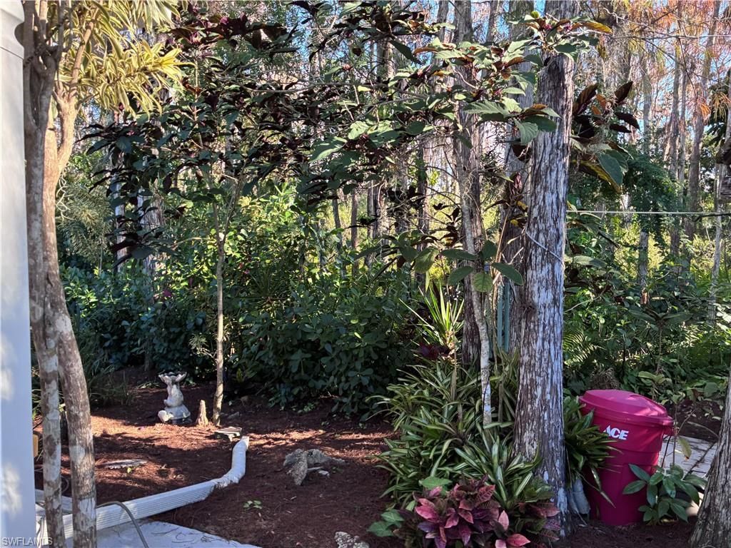 10727 Maui Cir, Estero, FL 33928 Photo