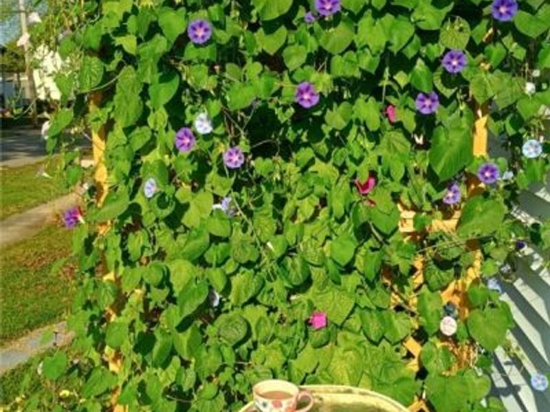 210 Cherry Street, Warsaw, OH 43844 Photo 15