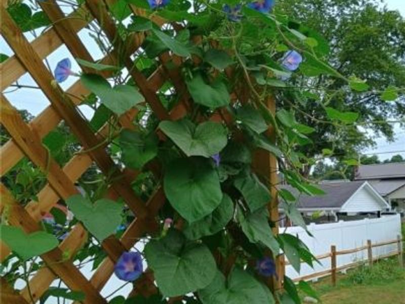 210 Cherry Street, Warsaw, OH 43844 Photo 16