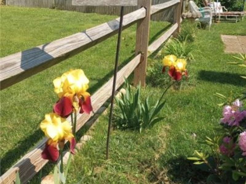 210 Cherry Street, Warsaw, OH 43844 Photo 17