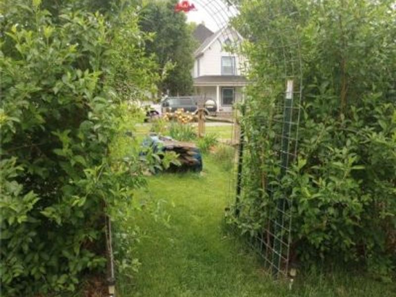 210 Cherry Street, Warsaw, OH 43844 Photo 19