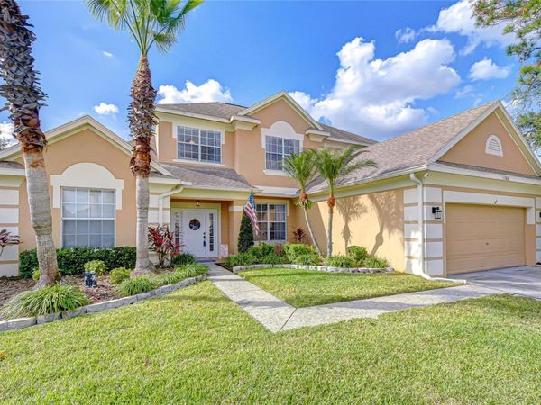 12808 BIRMINGHAM STREET, TAMPA, FL 33625