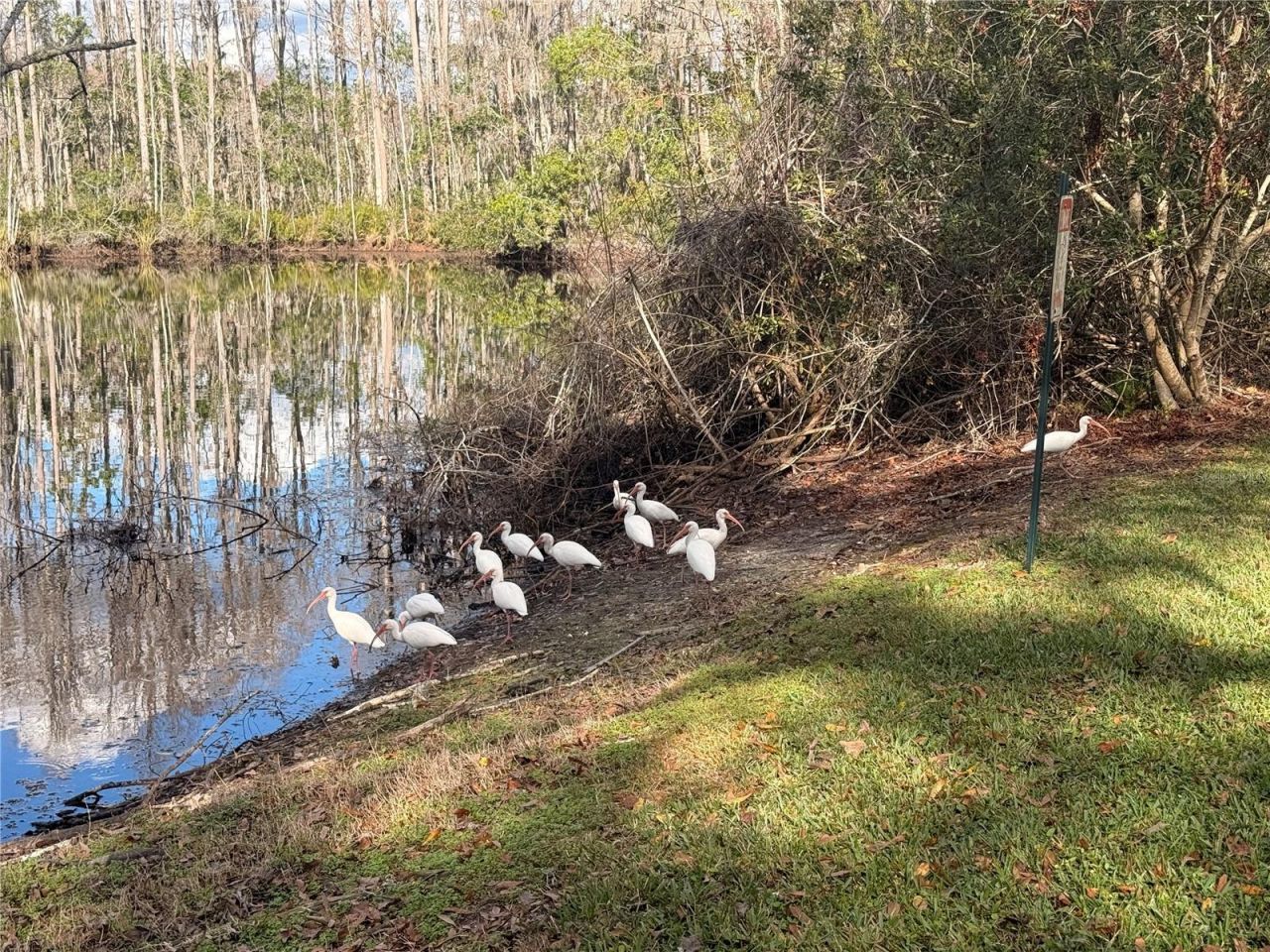 12155 Environmental Drive, Unit 6, New Port Richey, FL 34654 Photo