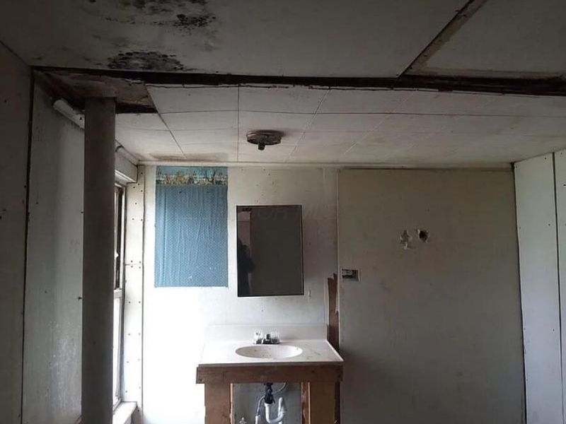 8695 Graham Street, Lisbon, OH 44432 Photo 4