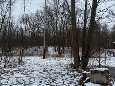 Williams Road , Argentine Twp, MI 48436