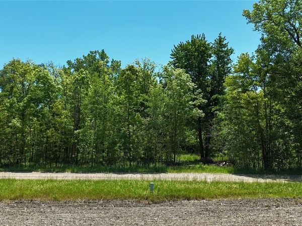 Williams Road, Argentine Twp, MI 48436