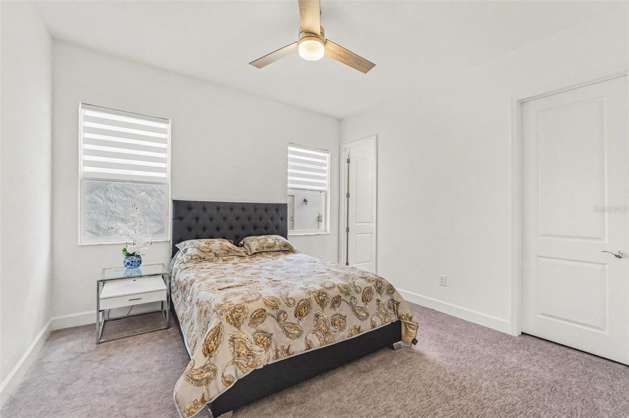 3405 Juniper Springs Street, Wesley Chapel, FL 33543 Photo