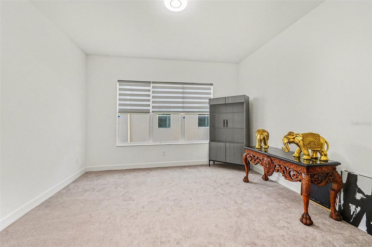 3405 Juniper Springs Street, Wesley Chapel, FL 33543 Photo