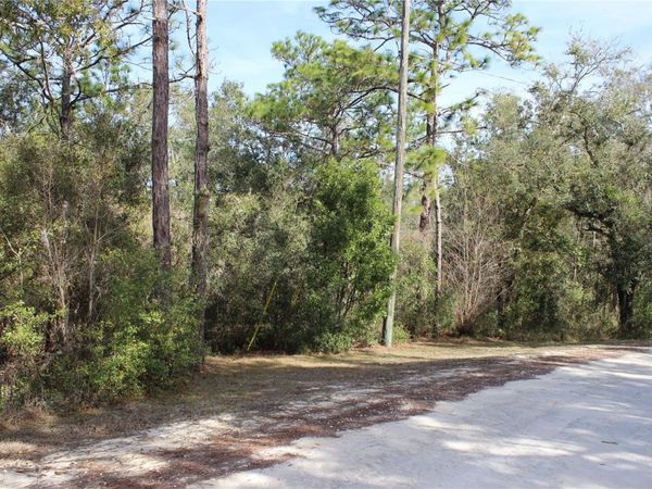 34273 BELT DRIVE, DADE CITY, FL 33523