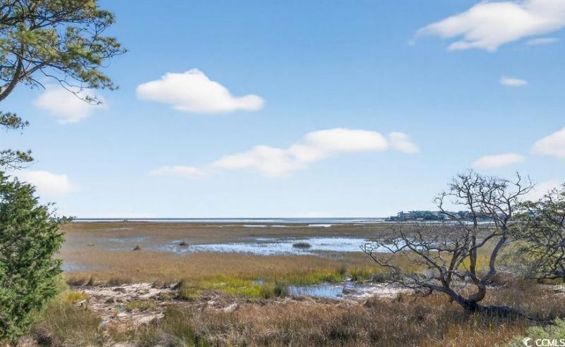 83 Grackle Ln. Photo 12