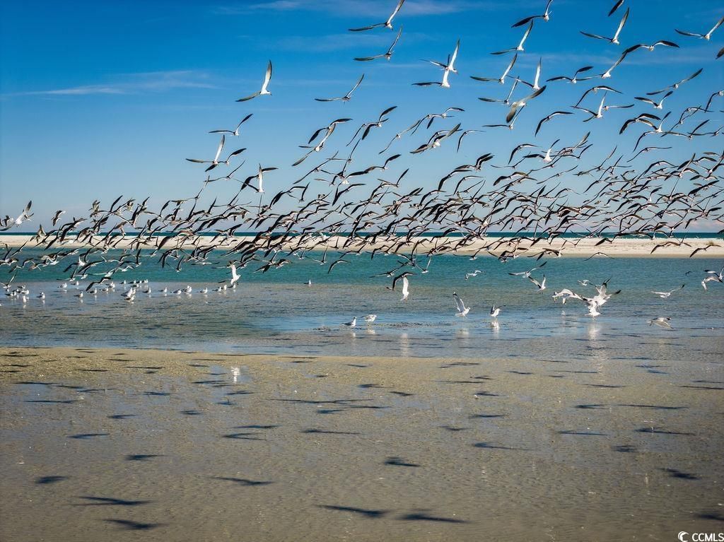 83 Grackle Ln. Photo 41