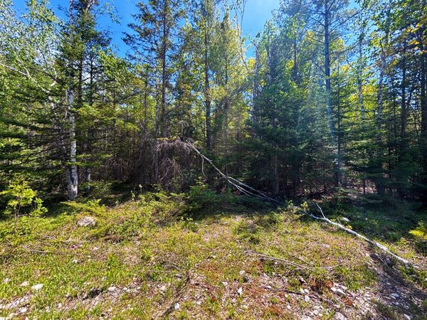 Lot 311 Kauffman Road, Presque Isle, MI 49777