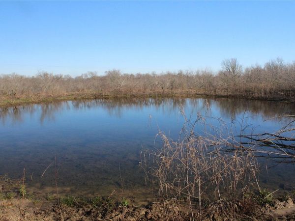 1223 County Road 429, Dime Box, TX 77853