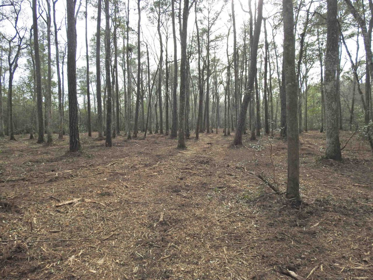 Tbd Bella Rd. Photo 10