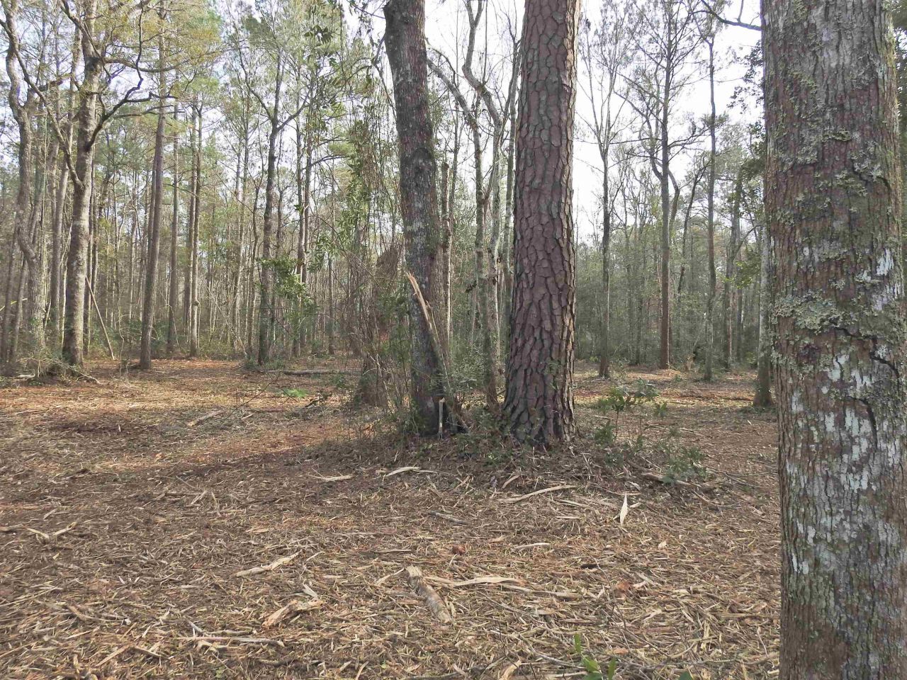 Tbd Bella Rd. Photo 13