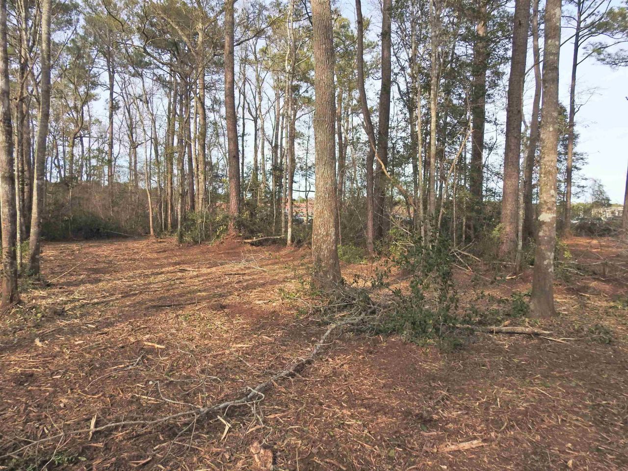 Tbd Bella Rd. Photo 15