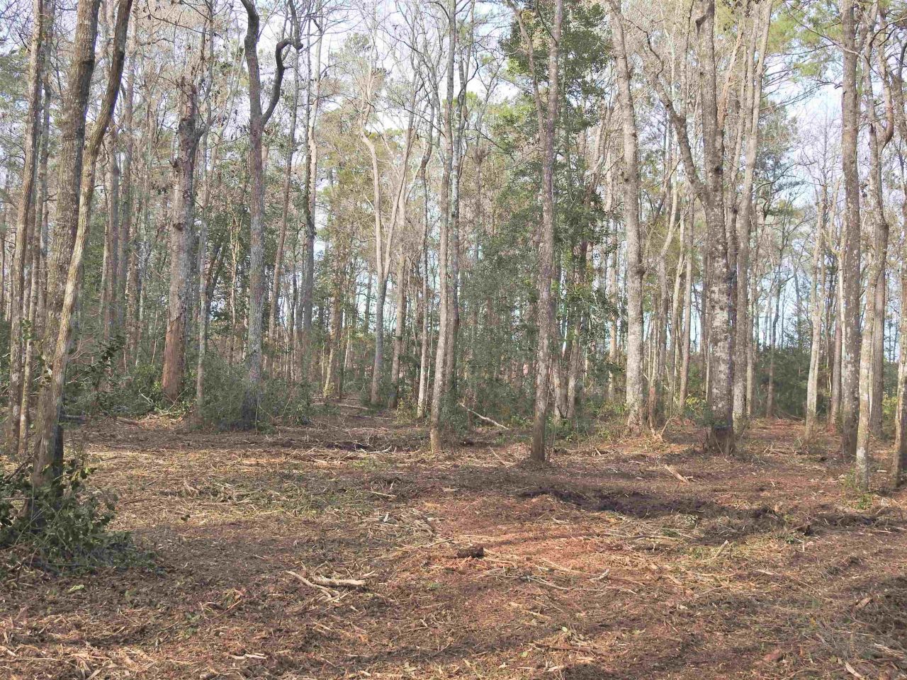 Tbd Bella Rd. Photo 16