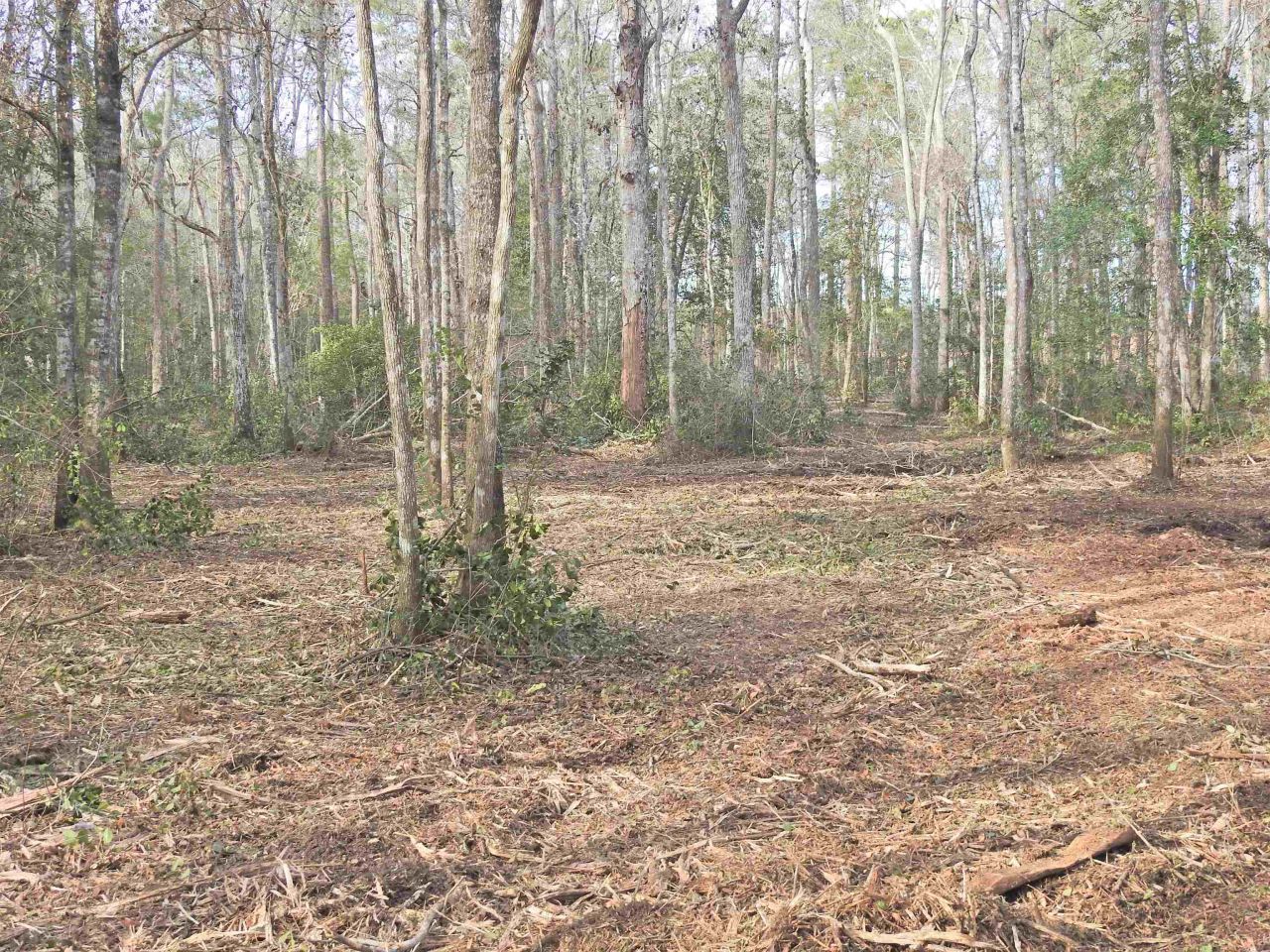 Tbd Bella Rd. Photo 17