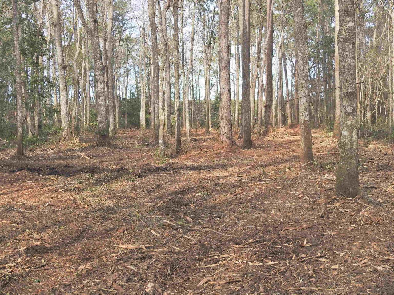 Tbd Bella Rd. Photo 18