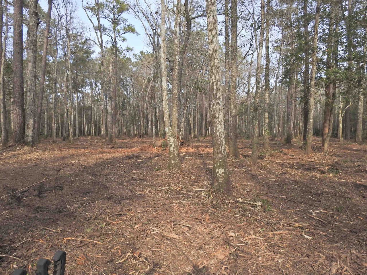 Tbd Bella Rd. Photo 4