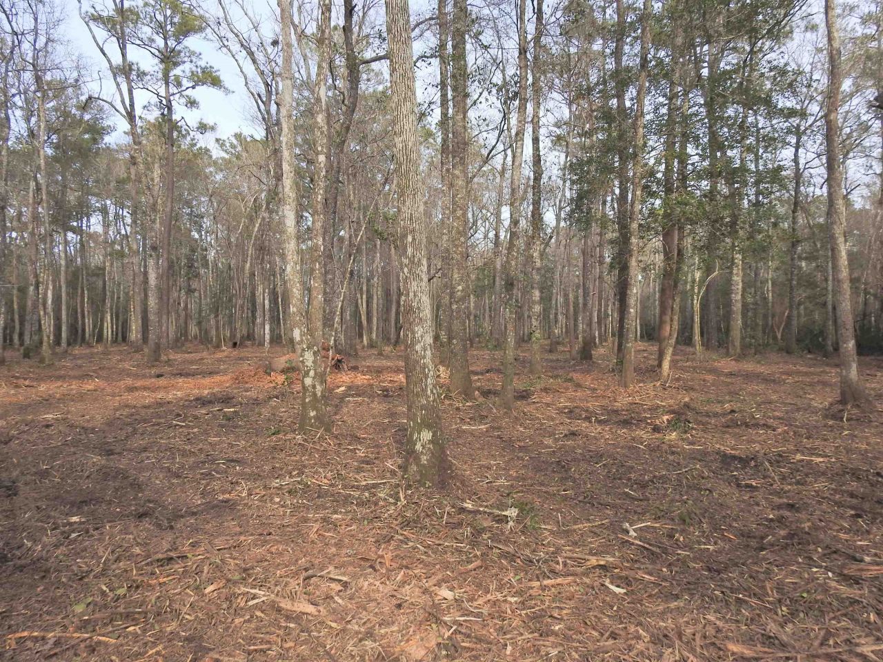 Tbd Bella Rd. Photo 5