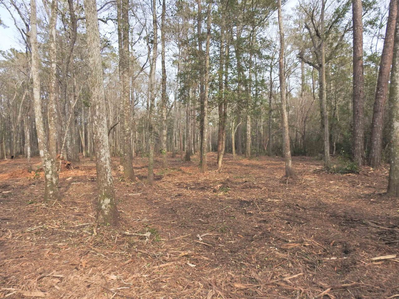 Tbd Bella Rd. Photo 7