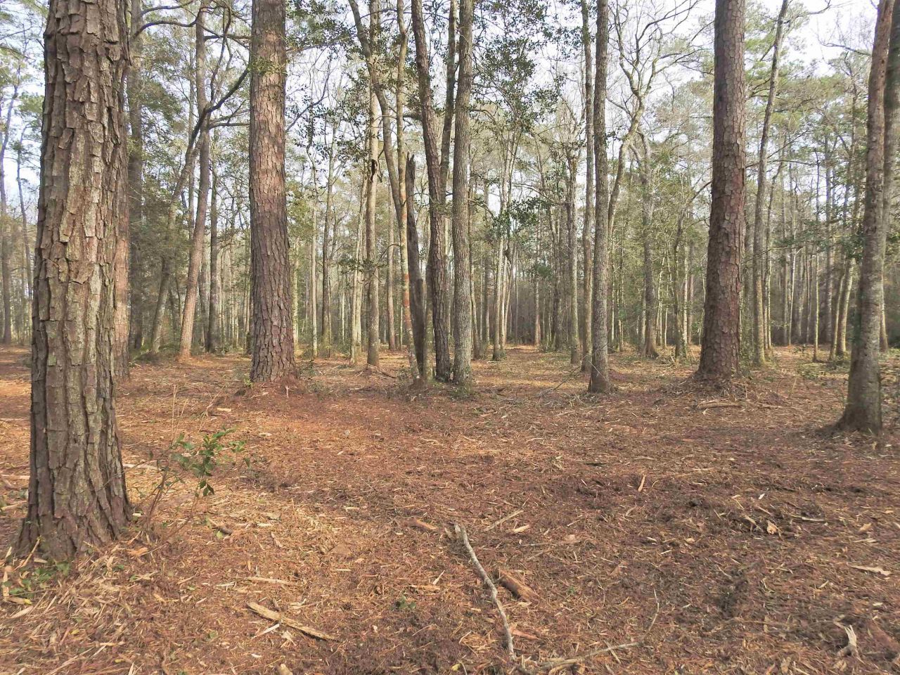 Tbd Bella Rd. Photo 8