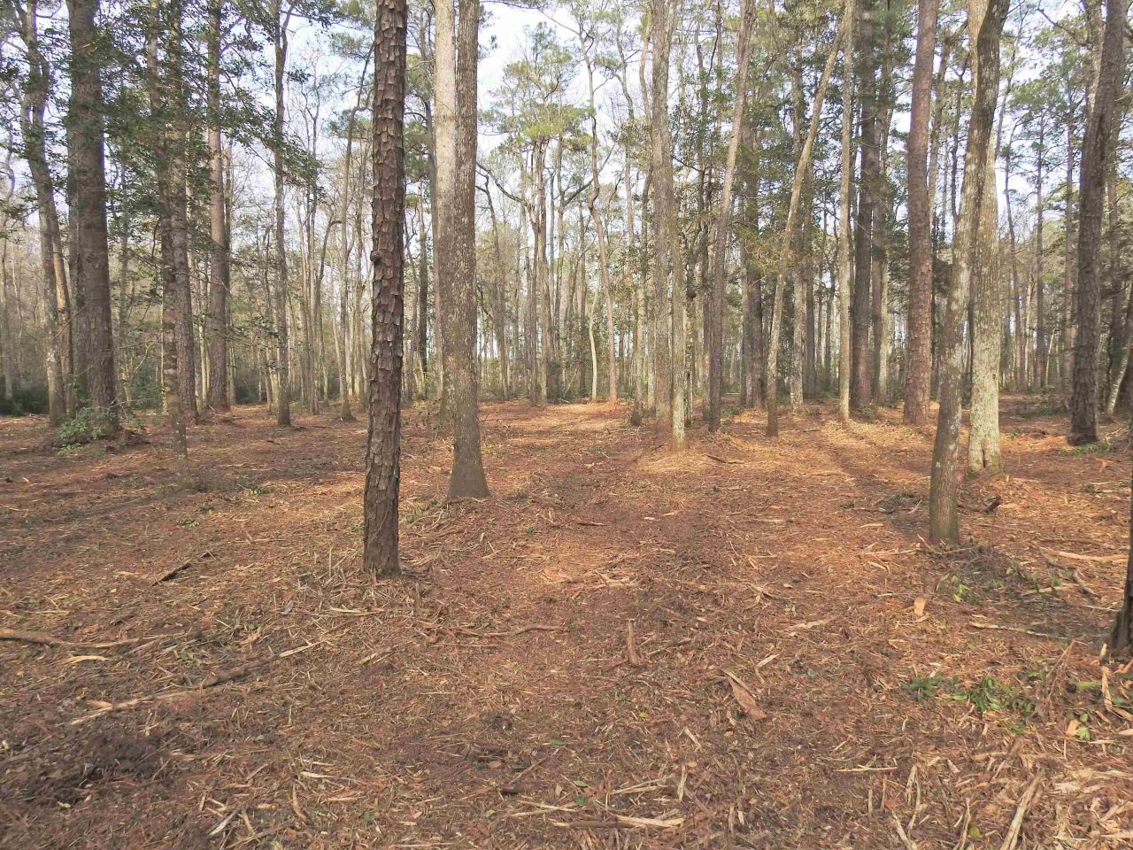 Tbd Bella Rd. Photo 9