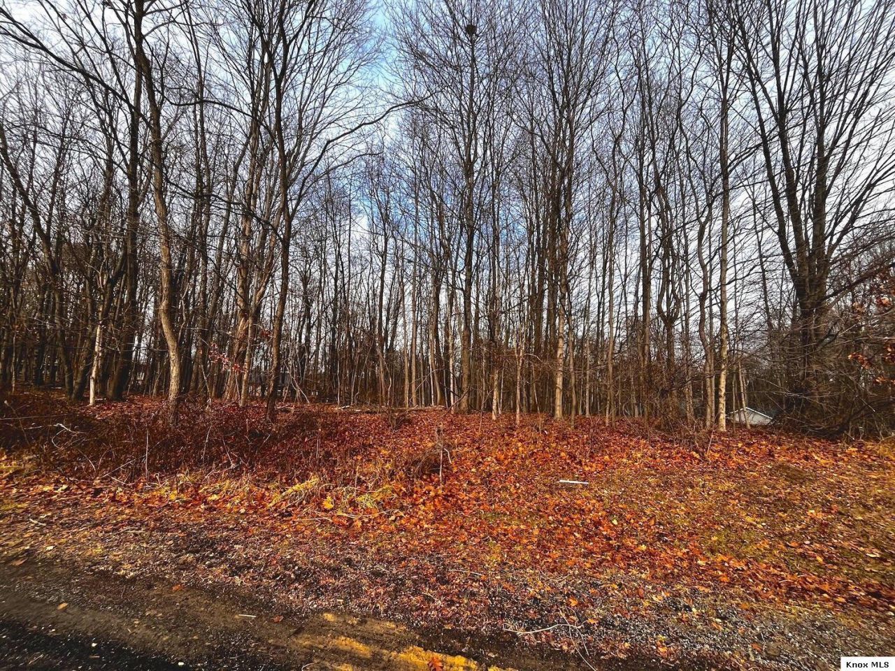 711 Crestrose Circle, Howard, OH 43028 Main Photo