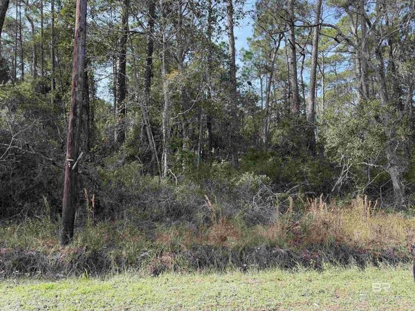 127 La Salle Street, Dauphin Island, AL 36528