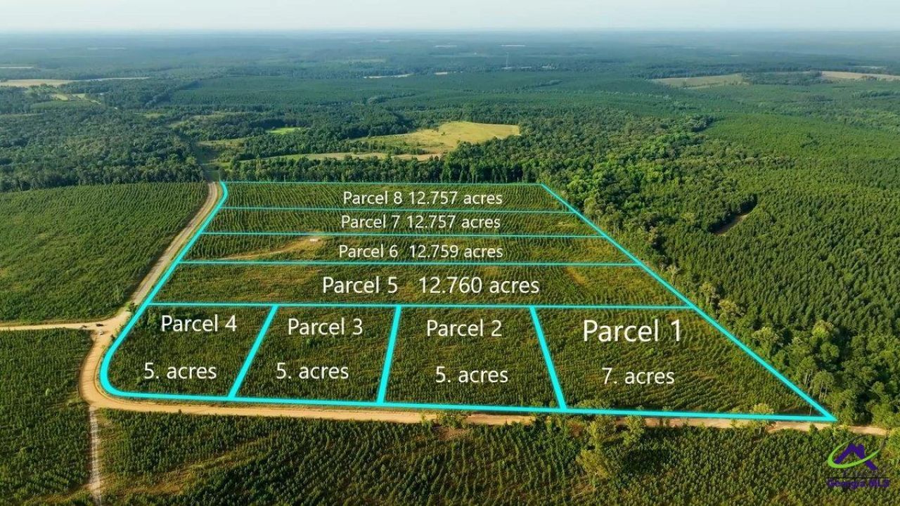 Parcel 3 Whipporwill Road, Reynolds, GA 31076 Main Photo