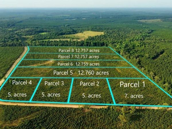 Parcel 3 Whipporwill Road, Reynolds, GA 31076