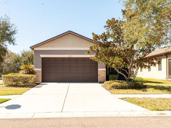 4517 PAPER MULBERRY PLACE, RIVERVIEW, FL 33578