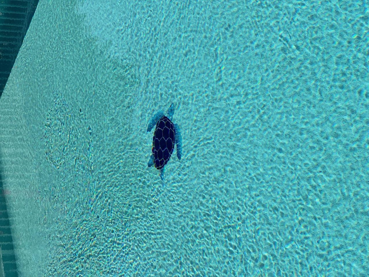 3001 W Gulf Dr, Unit 2, Sanibel, FL 33957 Photo