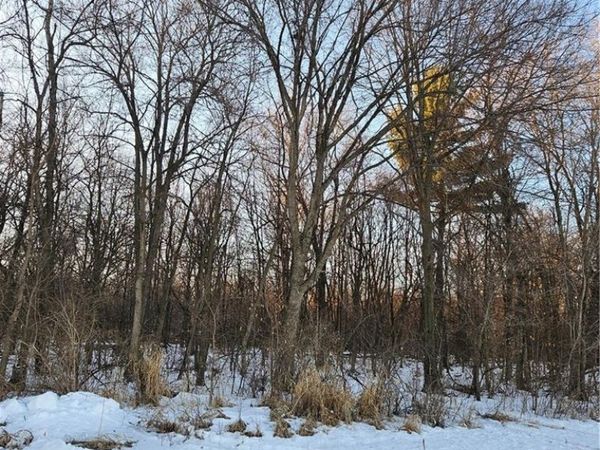 XXX County Rd DD, Eau Galle, WI 54737