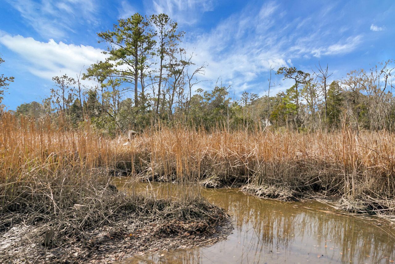 1142 Brookside Drive Photo 62