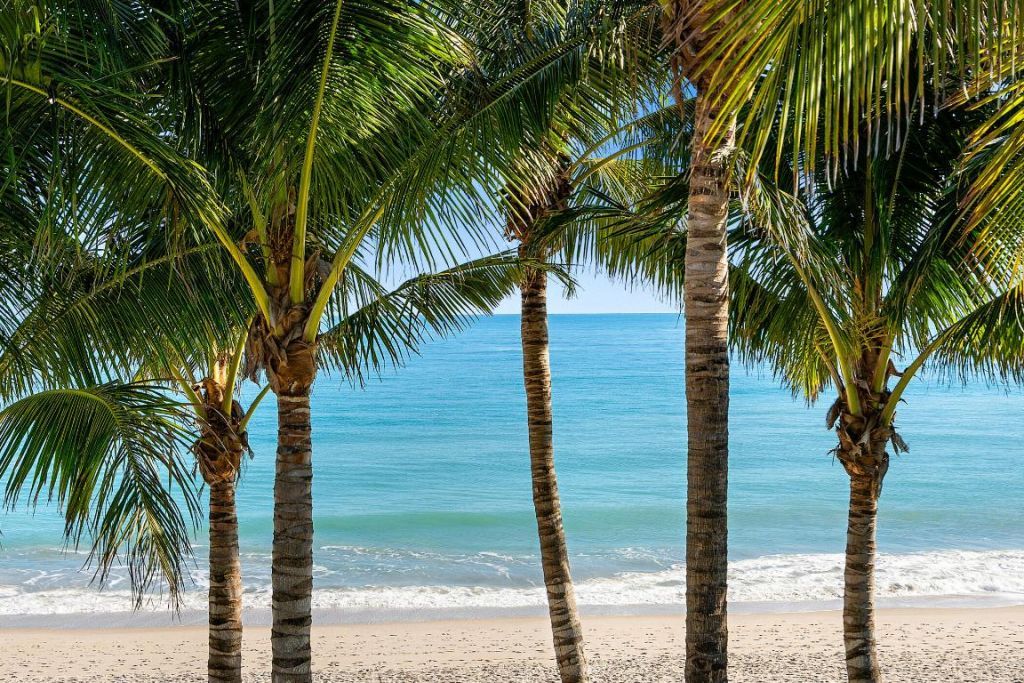 3756 Ocean Drive, Vero Beach, FL 32963 Photo