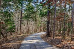 2207c Horton Cove Road  photo 4