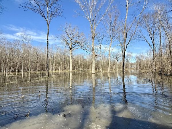 Abraham Road, Silver City, MS 39166