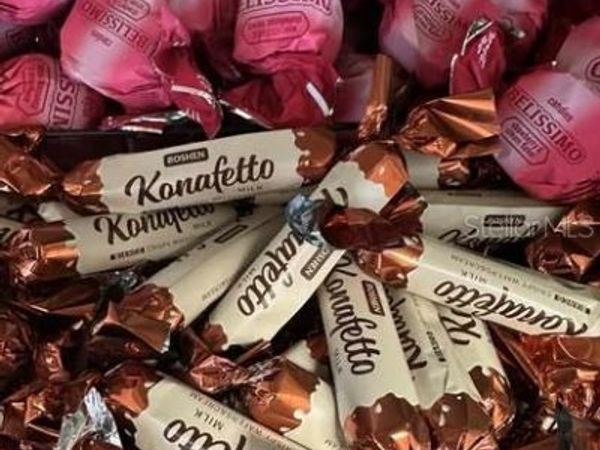 208 ST JOE PLAZA DRIVE, PALM COAST, FL 32164