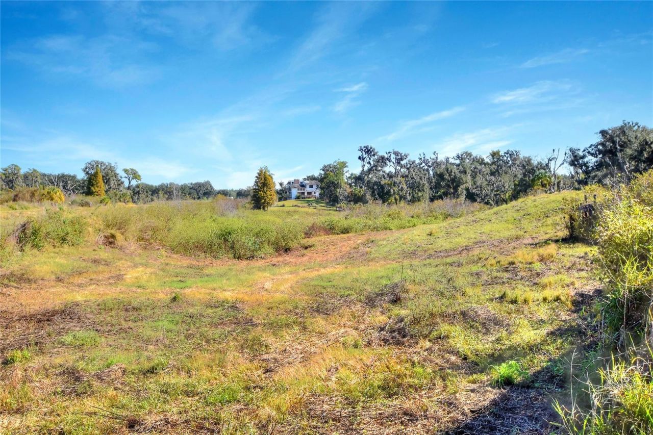 1505 W 60 Highway, Plant City, FL 33567 Photo