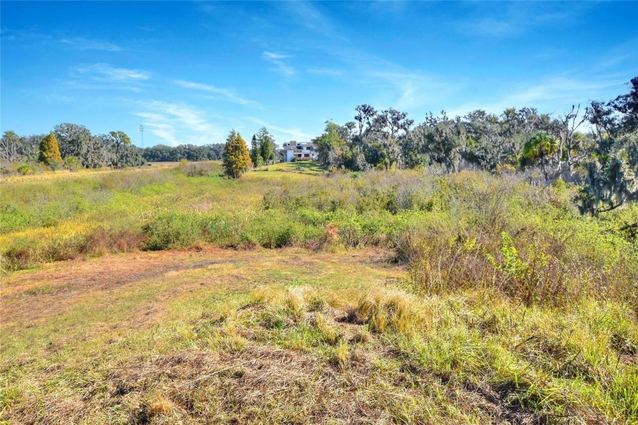 1505 W 60 Highway, Plant City, FL 33567 Photo